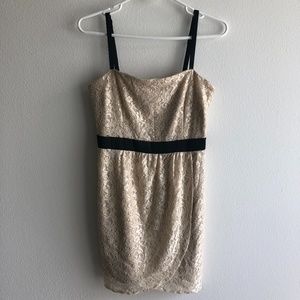 Love 21 Blush/Light Pink Lace Sheath Dress